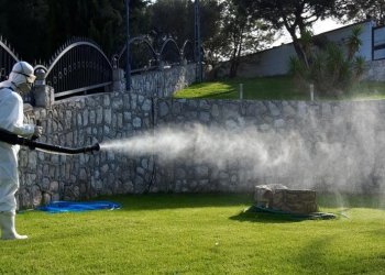 İstanbul Fatih’te Böcek İlaçlamada Doğru Adres – Sağlıklı Yaşam Alanları İçin Profesyonel Hizmet