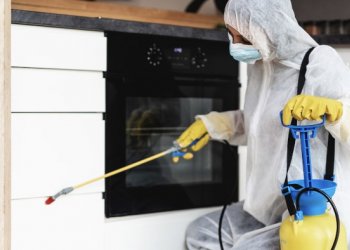 Fatih Böcek İlaçlama ile Haşerelere Karşı Kalıcı Çözümün Adresi