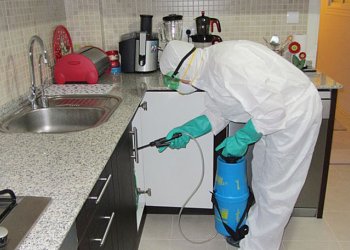 Ev ve İş Yerlerinde Profesyonel Böcek İlaçlamanın Önemi – Fatih Böcek İlaçlama’dan Uzman Görüşü